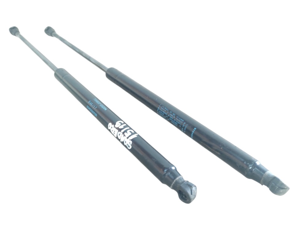 Amortecedor Tampa Traseiro Porta Malas Sandero 2015 A 2019 2