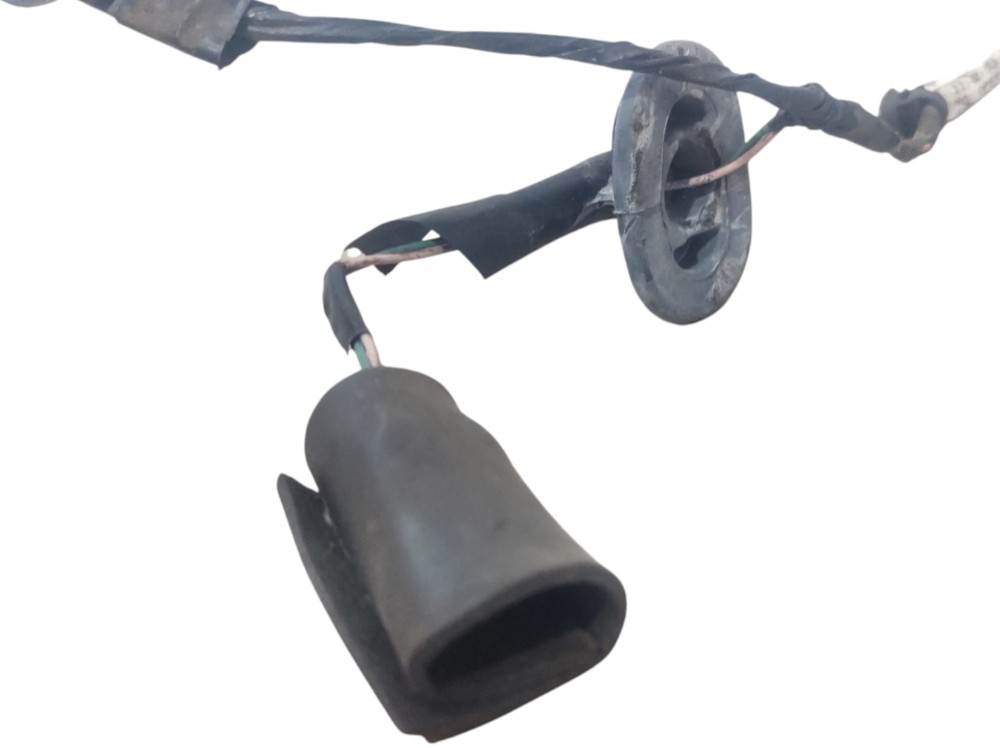 Chicote Porta Traseiro Direito  Renault Sandero 2016 A 2019 5