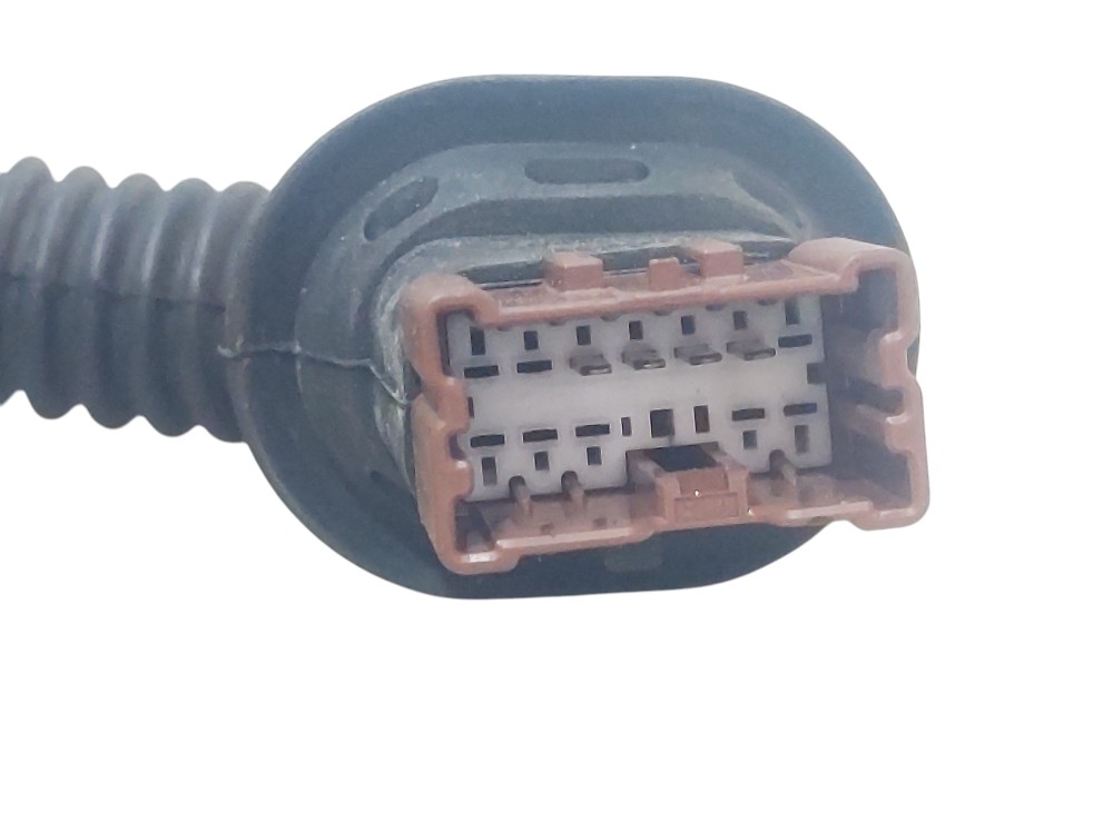 Chicote Porta Traseiro Direito  Renault Sandero 2016 A 2019 2