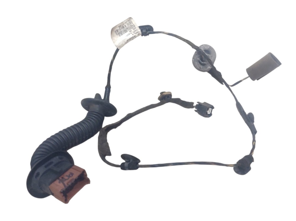 Chicote Porta Traseiro Direito  Renault Sandero 2016 A 2019 4