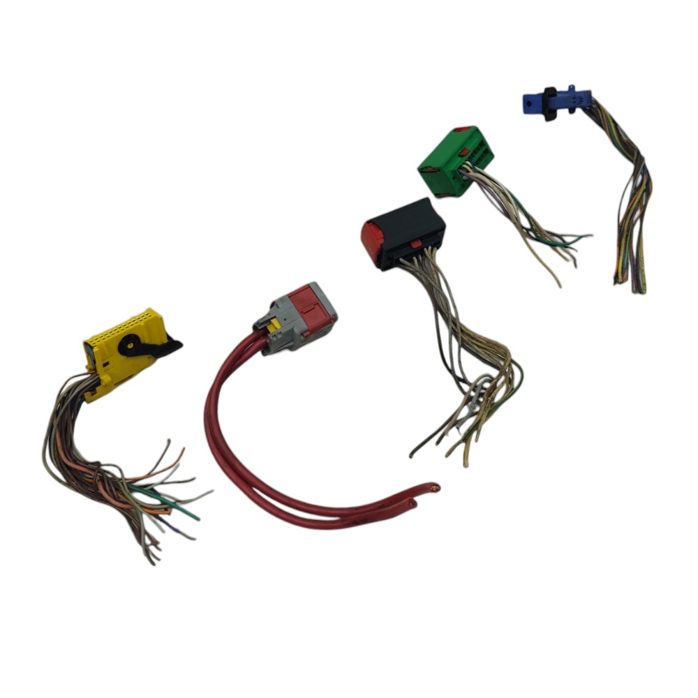 Jogo plug conector módulo Bsi Peugeot 206 1.4 gasolina 2001 2
