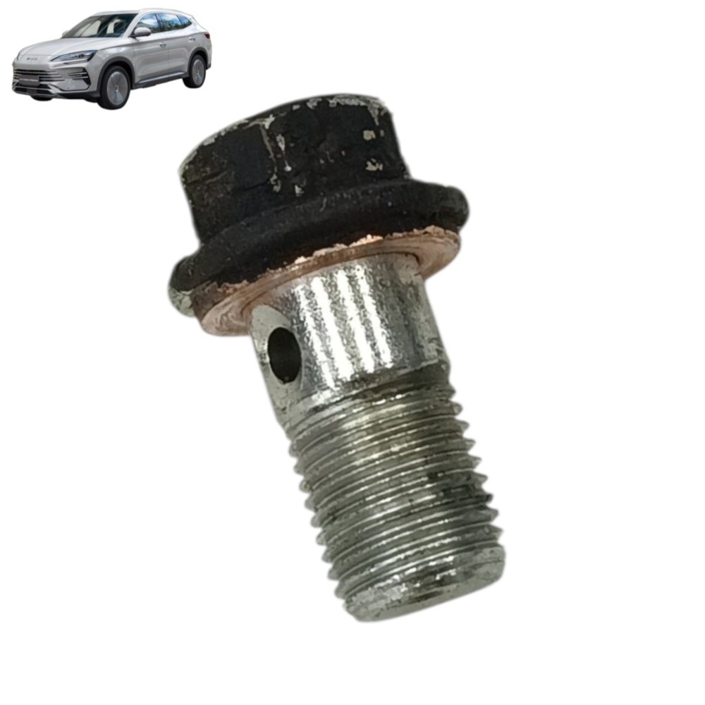 Parafuso pinça traseira byd song plus 1.5 2025 2024 2023