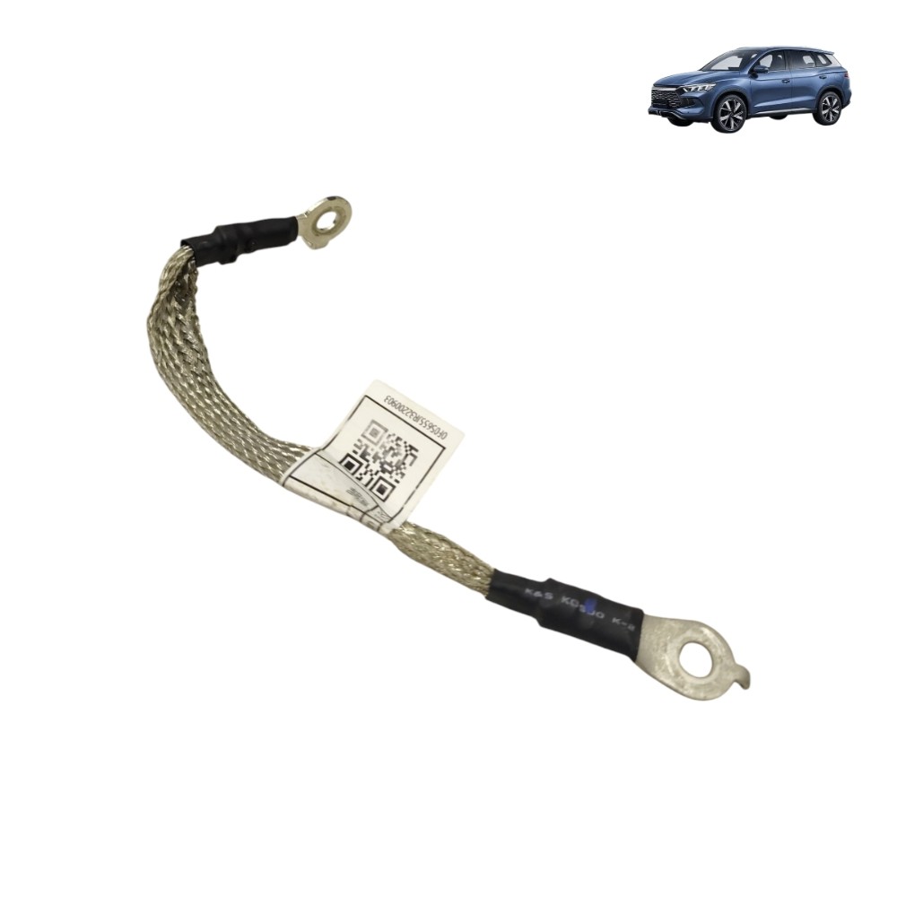 Cabo aterramento byd song pro 2024 2025 2026 sa2hg4002918a