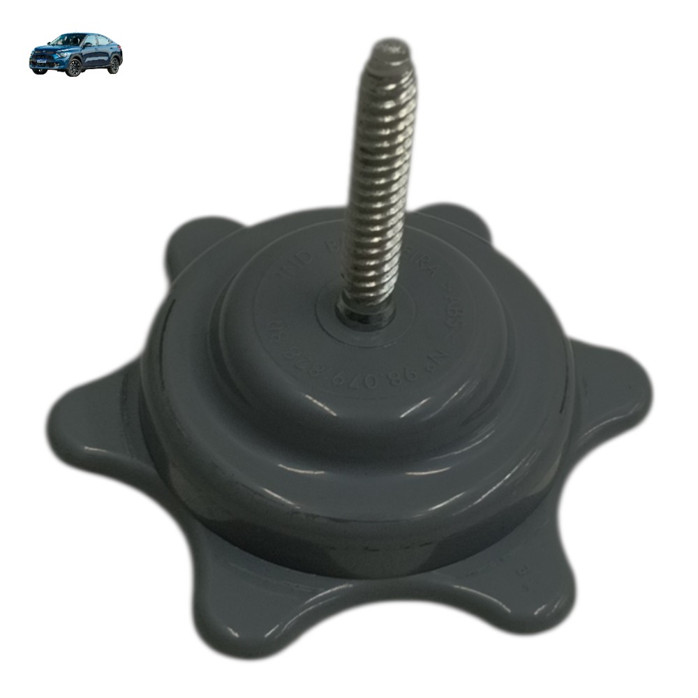 Parafuso Fixação Estepe Citroen Basalt 2025 2024 1