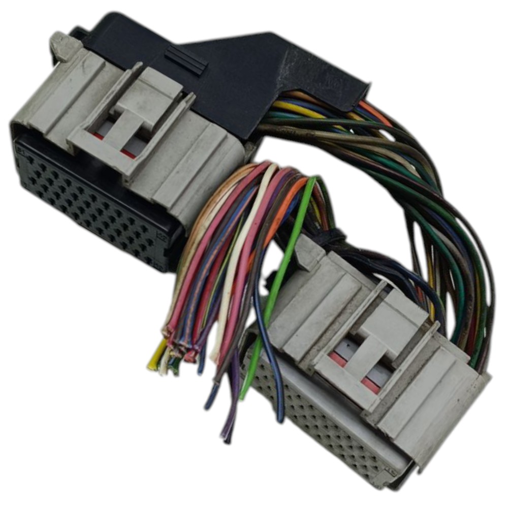 Par Plug Conector Módulo Injeção Grand Caravan 3.8 1999 2000 3