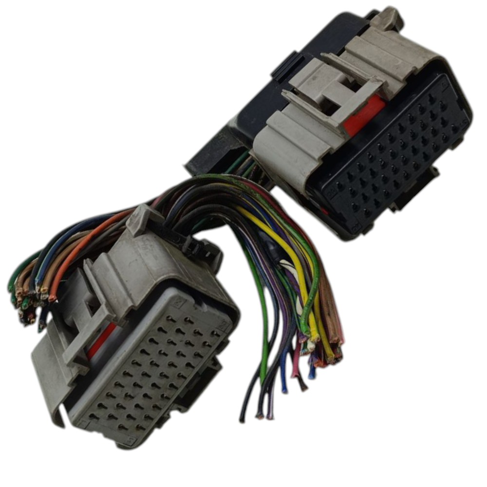 Par Plug Conector Módulo Injeção Grand Caravan 3.8 1999 2000 4