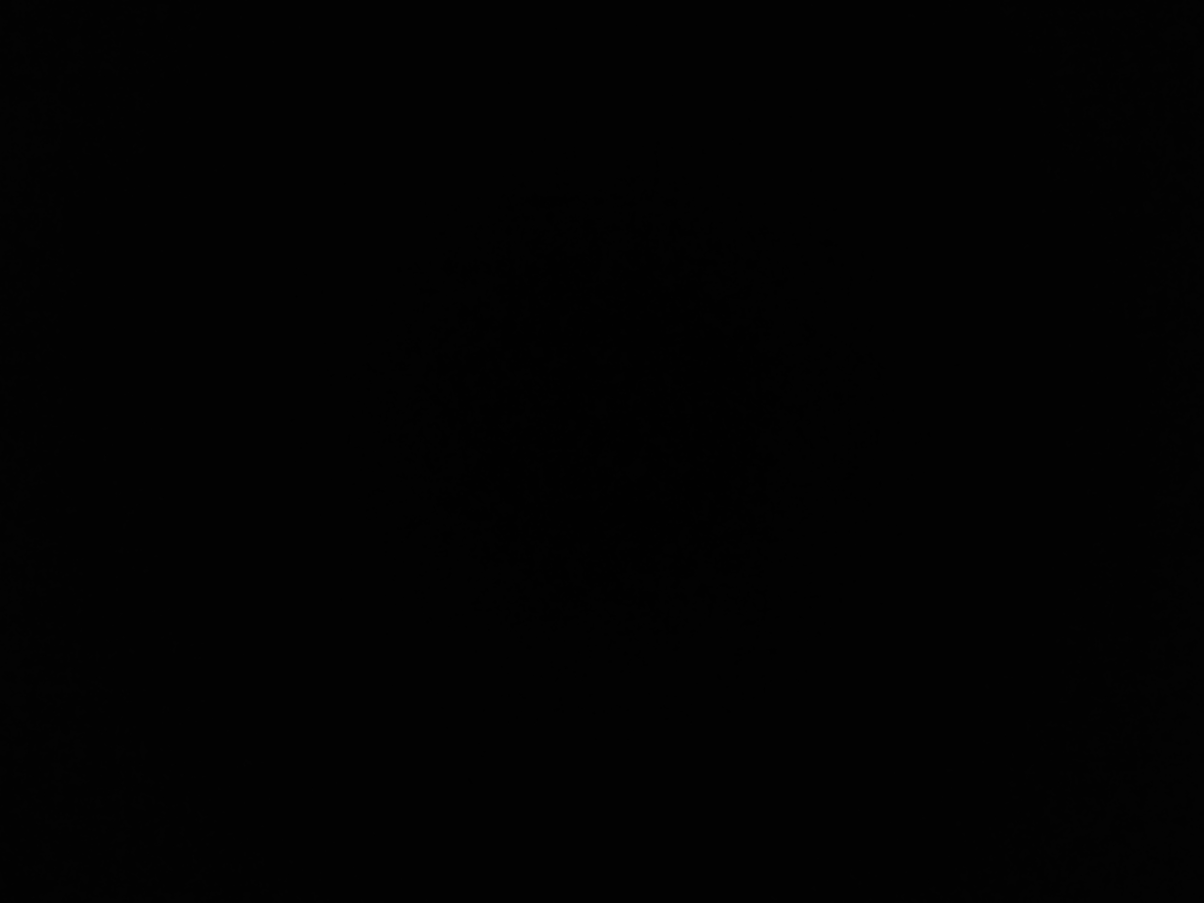 Calota Miolo Roda Audi A3 A4 A6 A8 Q3 N 4f0601165n Original 1