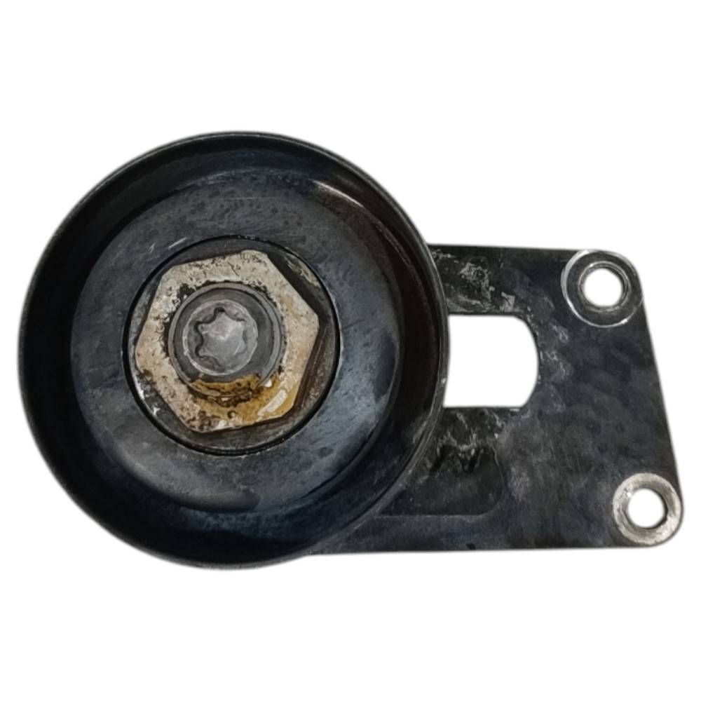 Polia Esticador Alternador Peugeot 206 207 1.4 Flex 2010 11 2