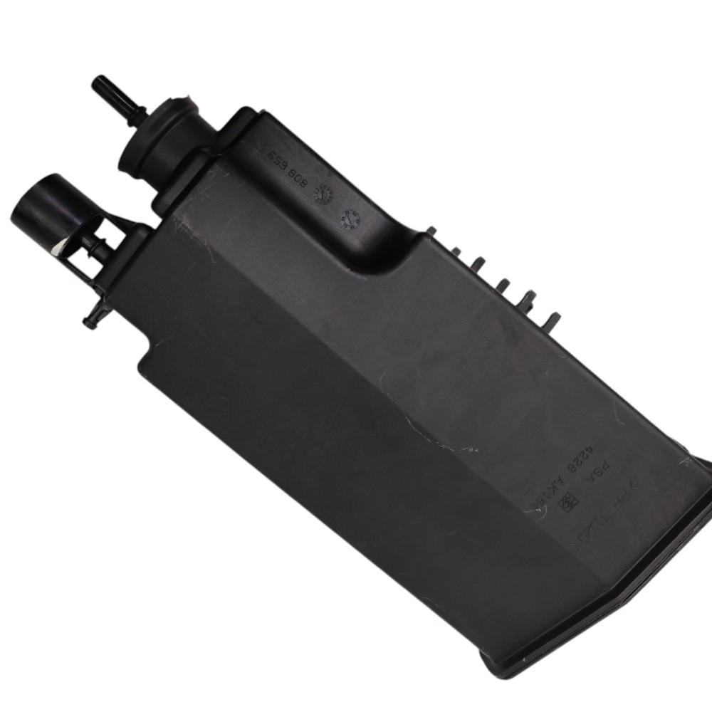 Filtro canister Citroën Grand C4 2.0 gasolina 2008 2009 3