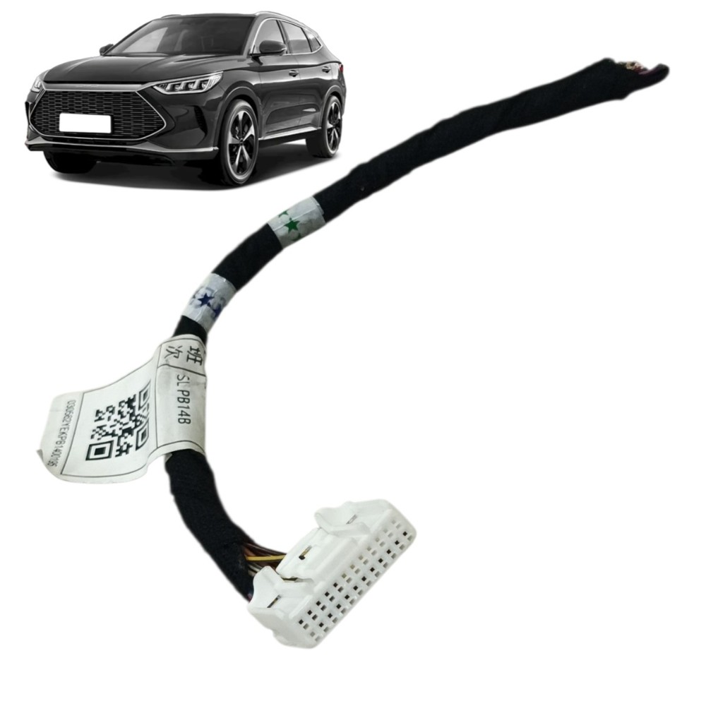 Plug conector luz tetô cortesia byd song plus 2025 2024