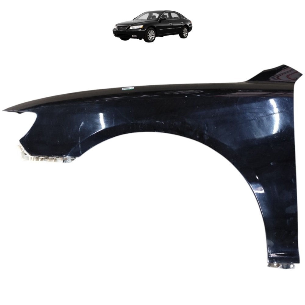 Paralama Esquerdo Hyundai Azera 2007 2008 2009 2010 2011 1