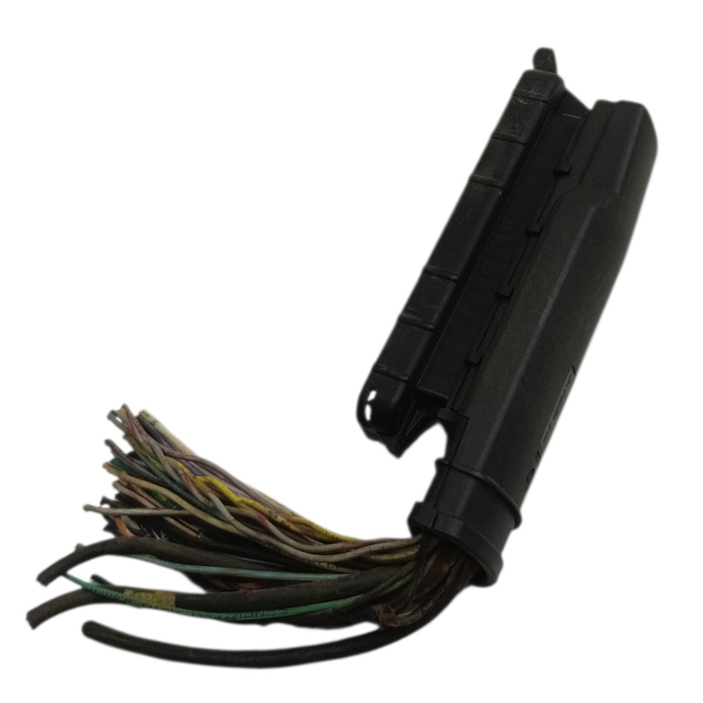 Plug conector módulo injeção Fiat Palio 1.0 fiasa 1996 1997 2