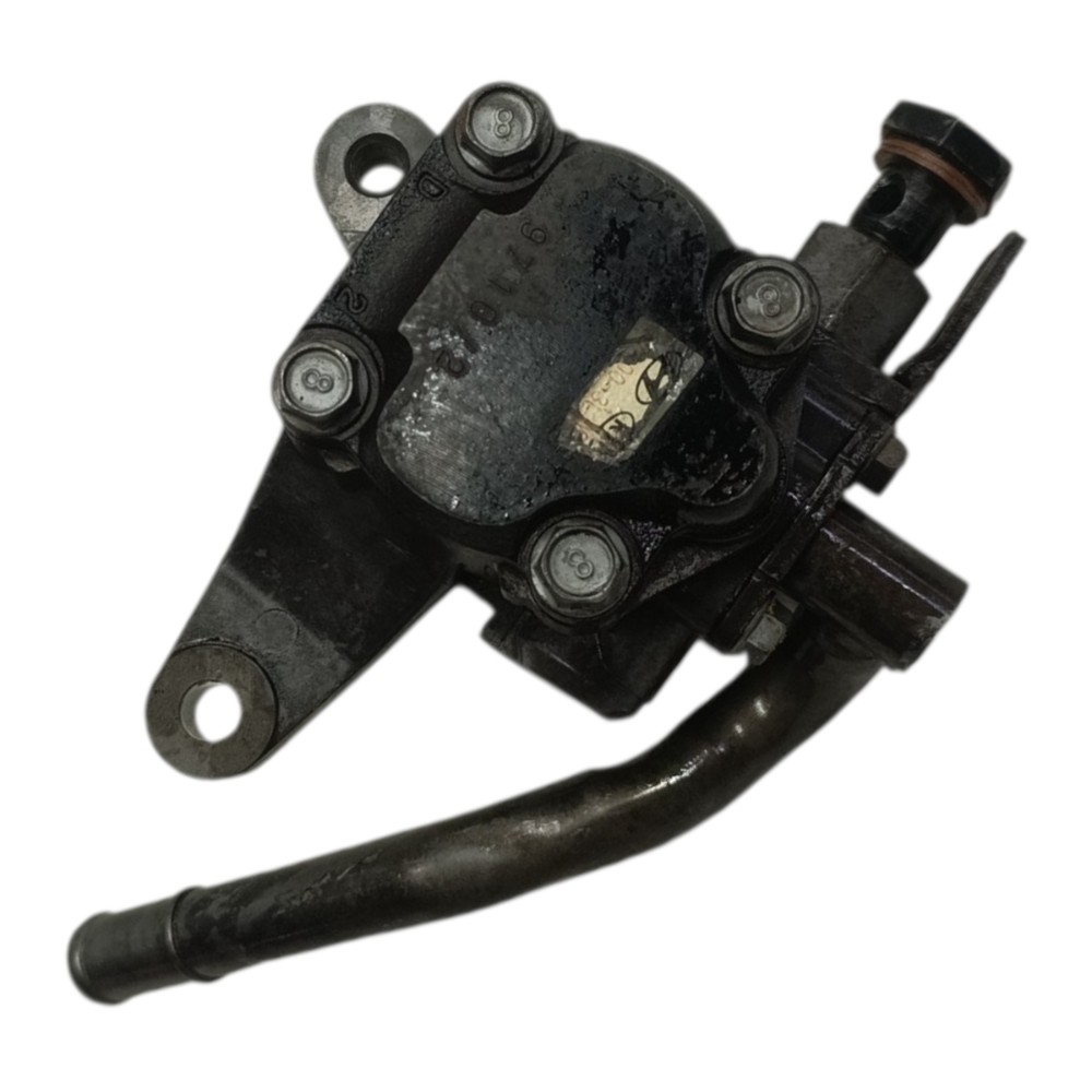 Bomba Direção Hidráulica Hyundai Azera 3.3 V6 2008 2009 2010 3