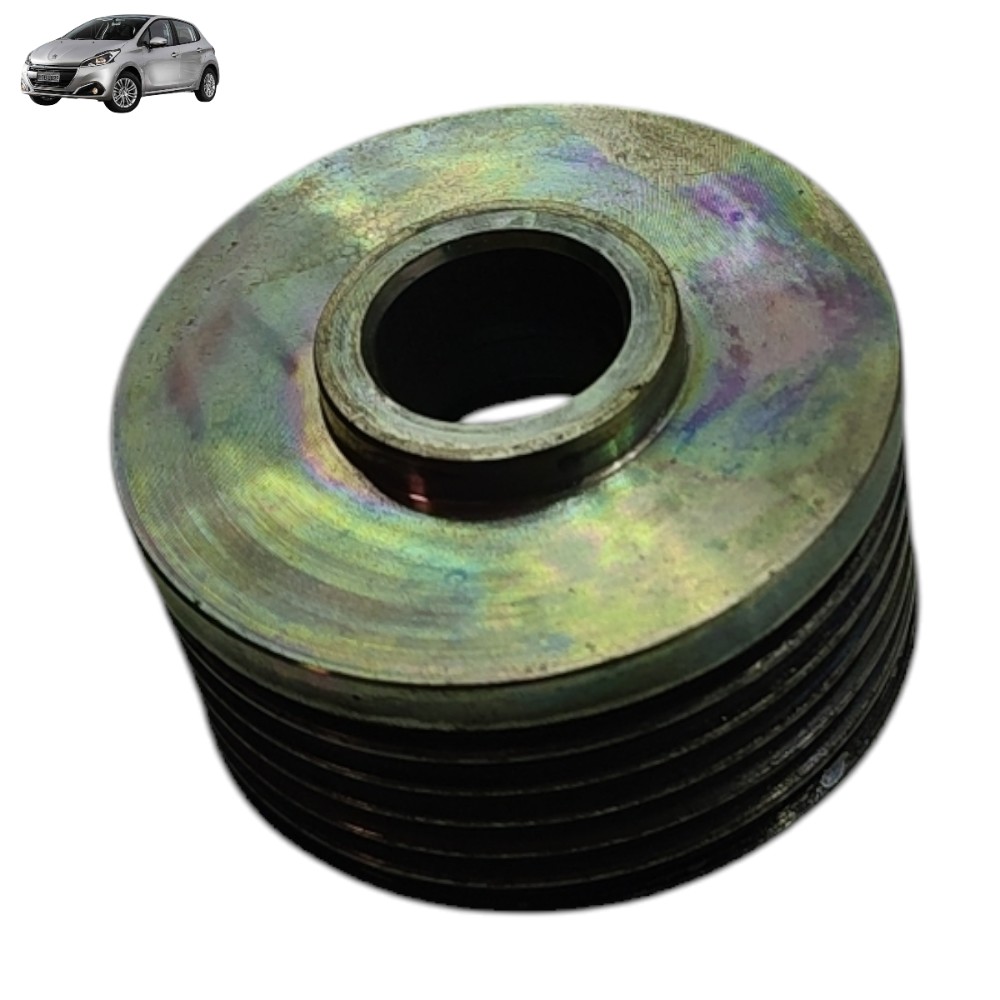 Polia Do Alternador Peugeot 308 2.0 16v 2011 2012 2013 2014 1