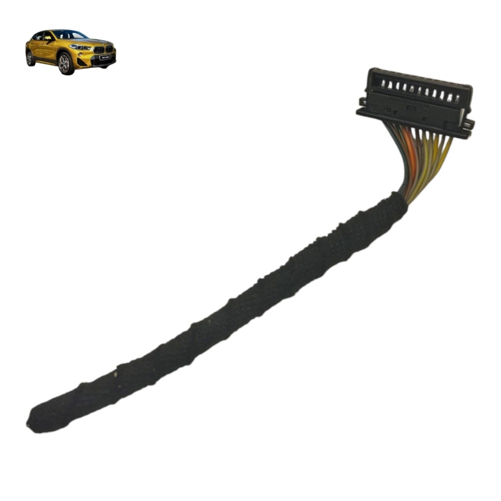 Plug Conector Luz Tetô Cortesia Traseira Bmw X2 2018 2019 1