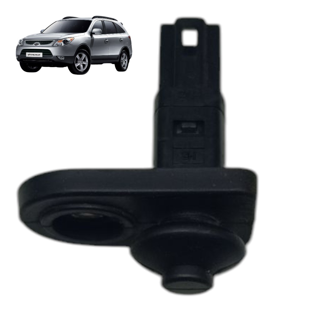 Interruptor Luz Porta Hyundai Veracruz 2008 2009 2010 1