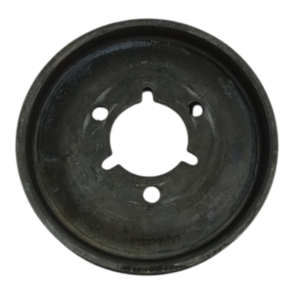 Polia bomba água Peugeot 206 1.4 gasolina 2001 2002 2003 3