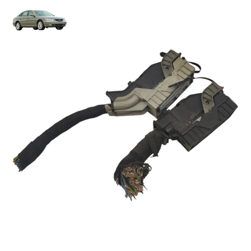 Par Plug Conector Módulo Injeção Hyundai Azera 3.3 Aut 2007 1