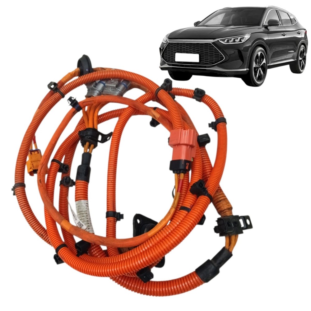 Cabo positivo bateria byd song plus 2025 2024 2023
