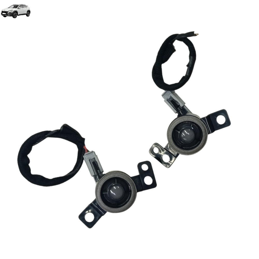 Par Tweeter Hyundai Kona 2023 2024