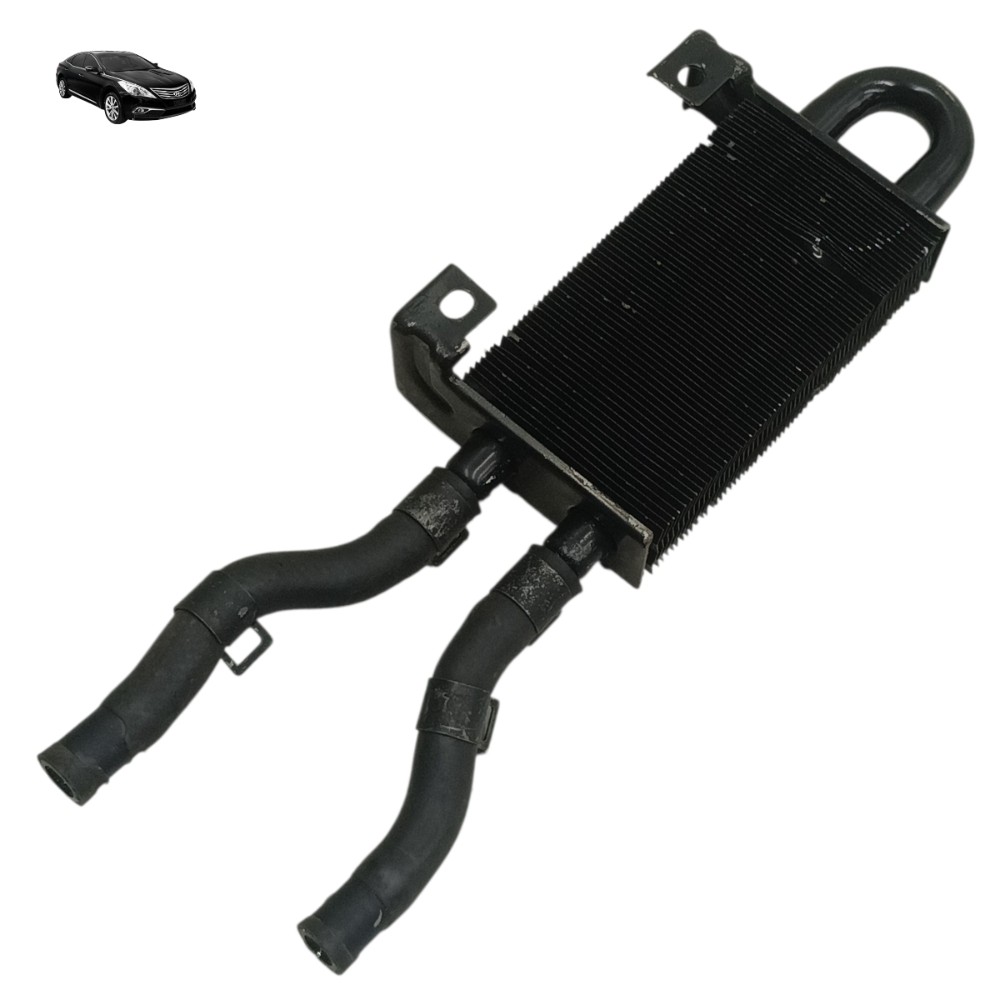 Radiador Óleo Direção Hidráulica Hyundai Azera 3.3 2007 2008 1