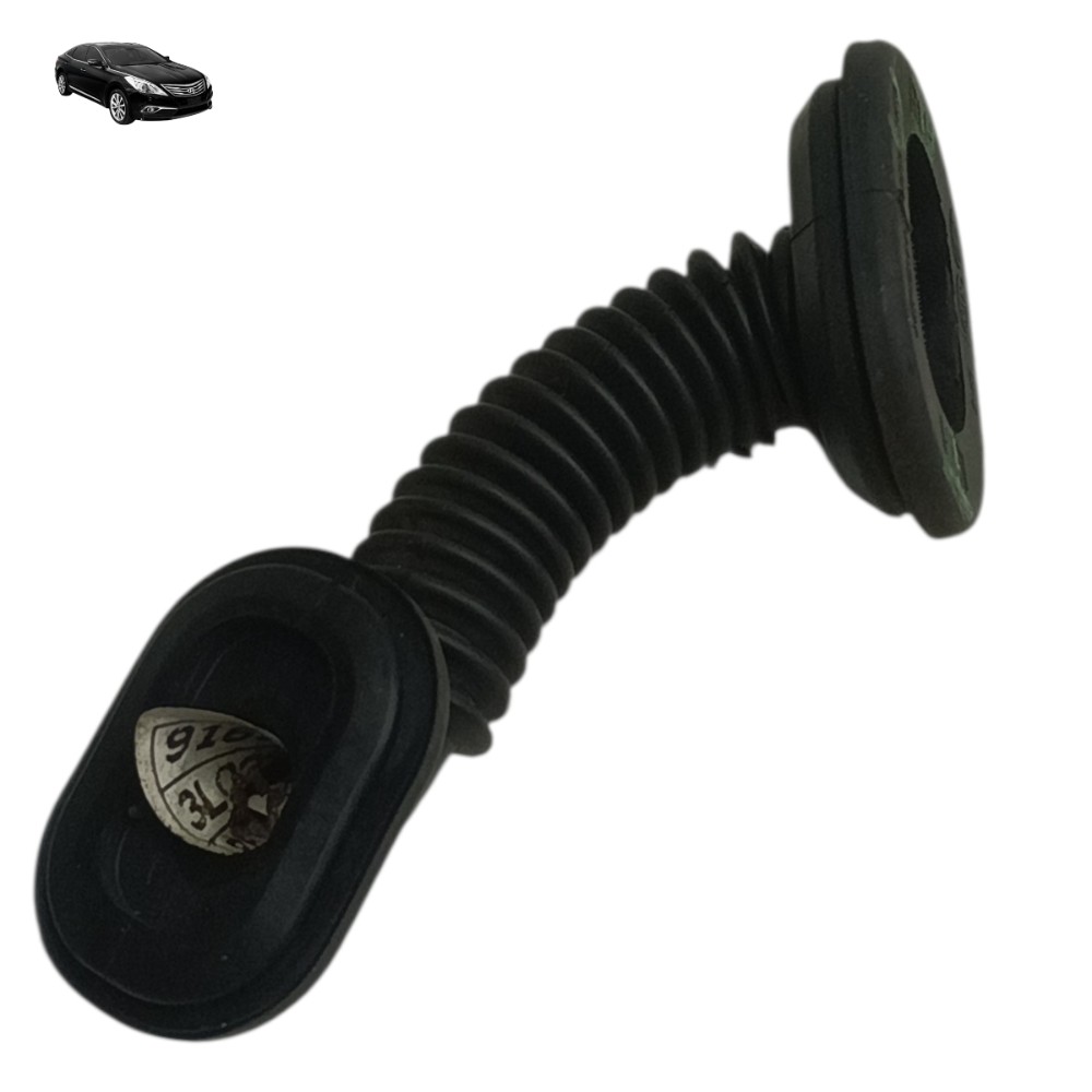 Coifa Chicote Passa Fio Porta Traseira Hyundai Azera 2007 1