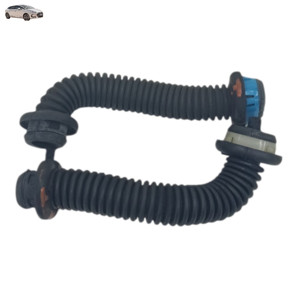 Par Coifa Chicote Tampa Traseira Citroen Ds5 2012 2013 2014