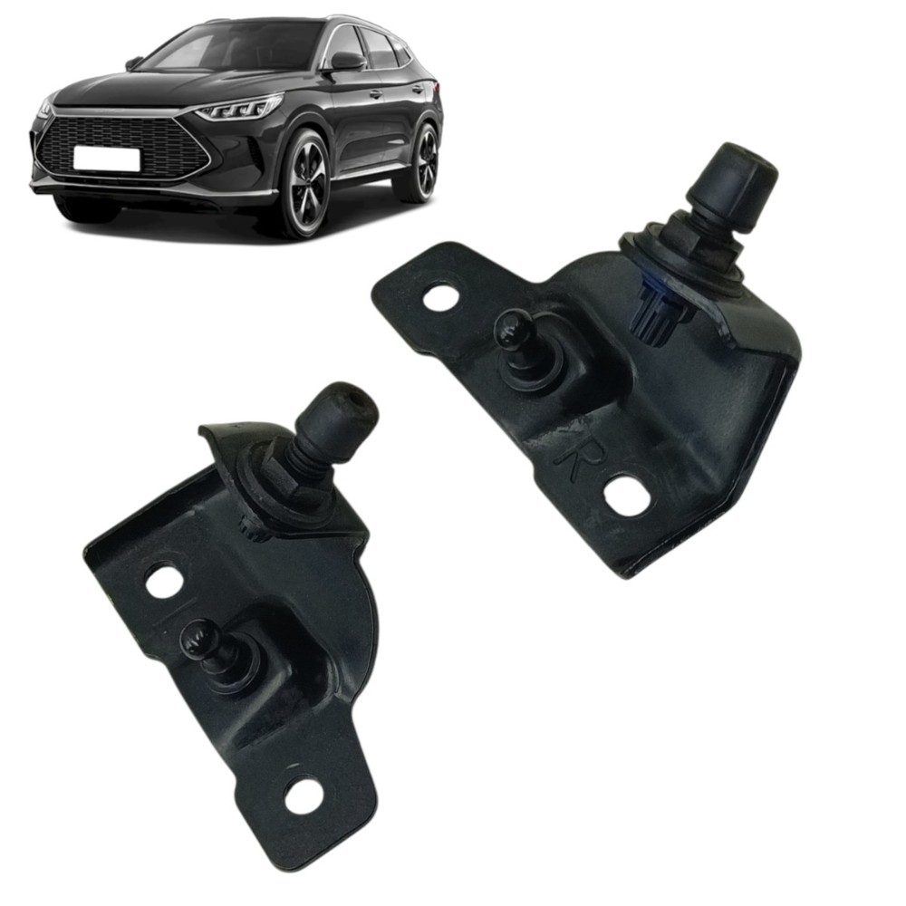 Par suporte amortecedor tampa traseira byd song plus 2025 24