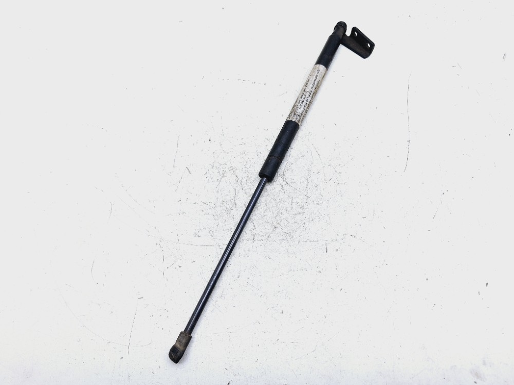 Amortecedor Tampa Traseira Smart Fortwo 1.0 2014 A4519880004