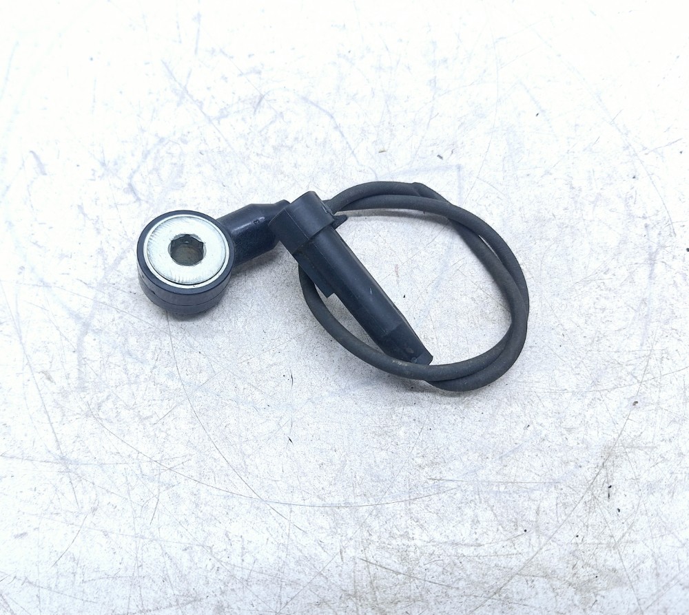 Sensor Detonação Jac J3 1.4 2012 2928224103
