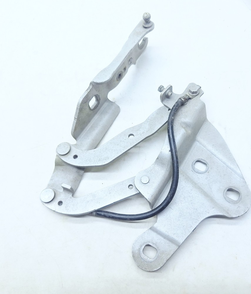 Dobradiça Esquerda Capô Bmw X1 2.0 2010 2011