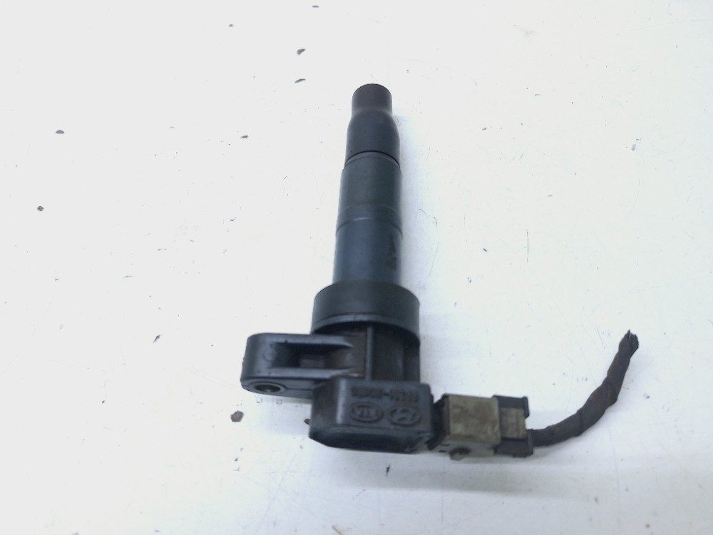 Bobina Ignição Hyundai Santa Fé 3.5 2011 2012 273013c000