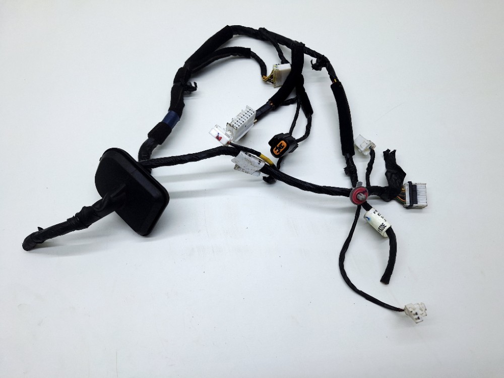 Chicote Porta Dianteira Direita Audi Tt Rs 2.5 2020 2021