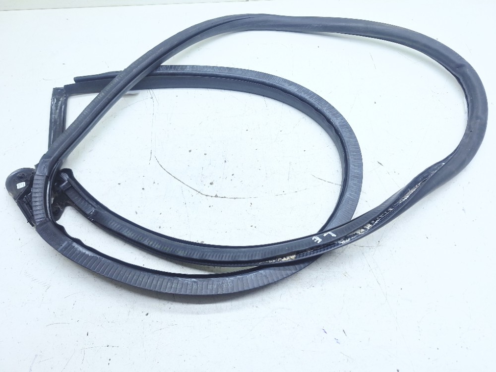 Borracha Porta Esquerda Audi Ttrs 2.5t 2021 8s8831707