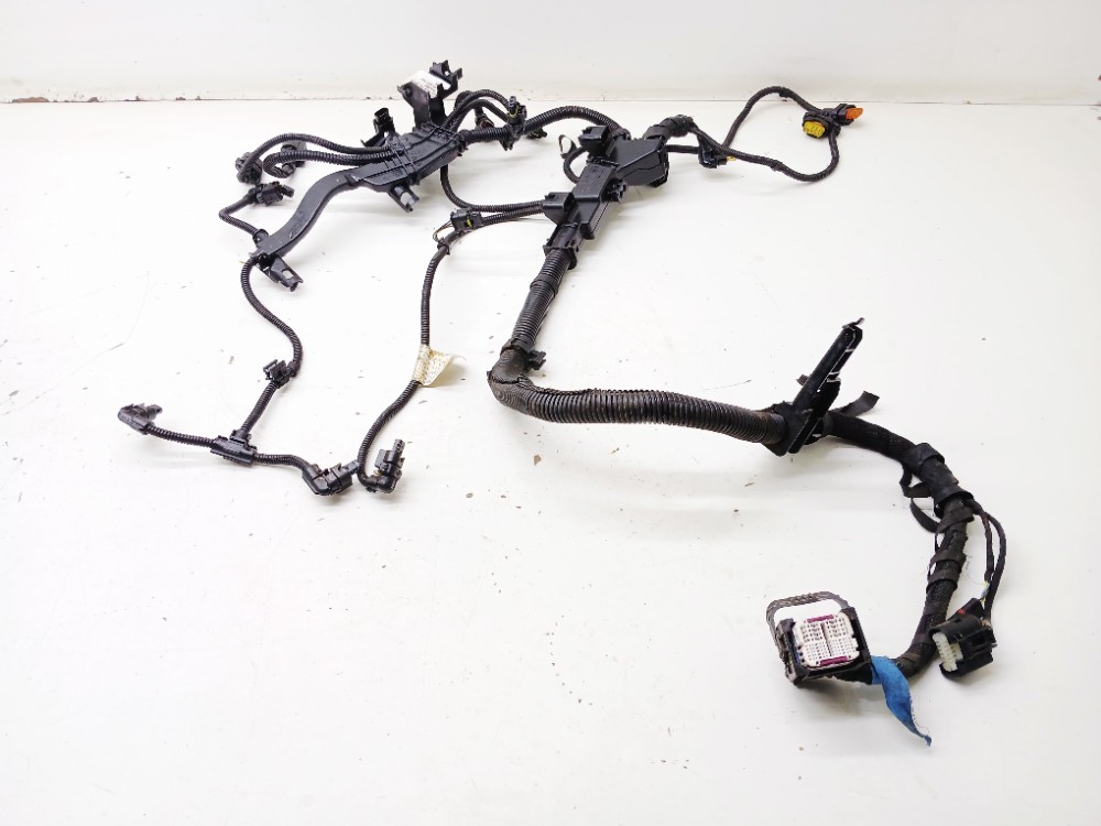Chicote Motor Bmw 320i 2.0t 2019 2020 13318810