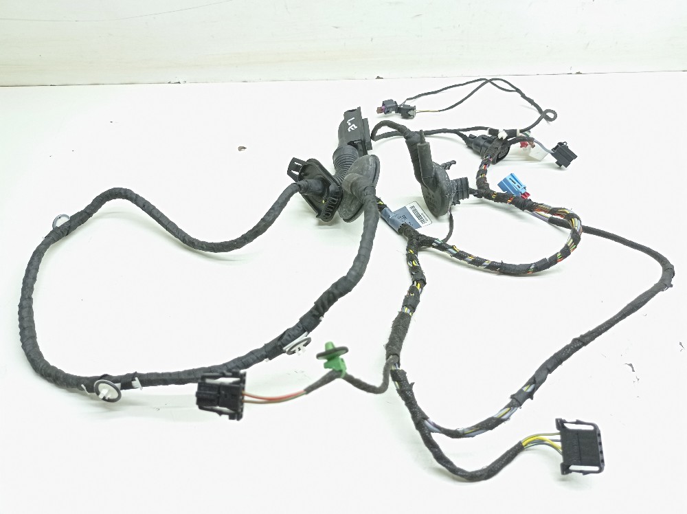 Chicote Porta Esquerda Audi Ttrs 2.5t 2021 8s0971029s