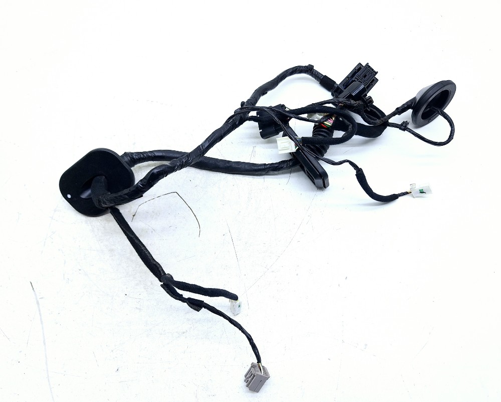 Chicote Porta Dianteira Esquerda Kia Sportage 2.0 2019 2020