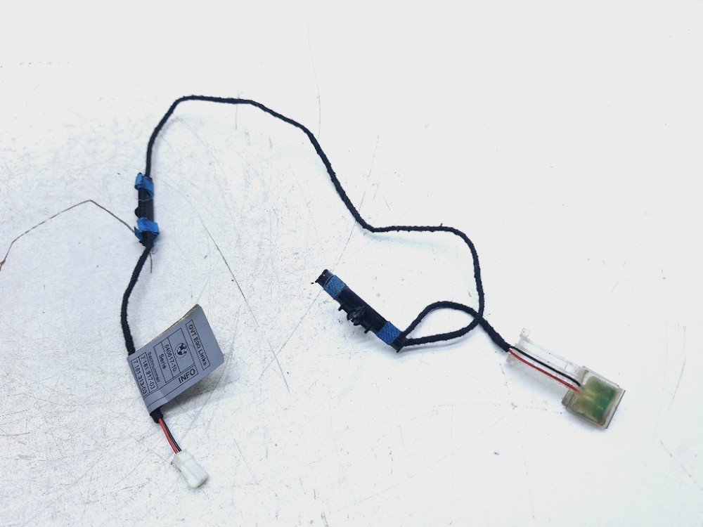 Led Maçaneta Dianteira Esquerda Bmw X1 2.0 2013 54061710