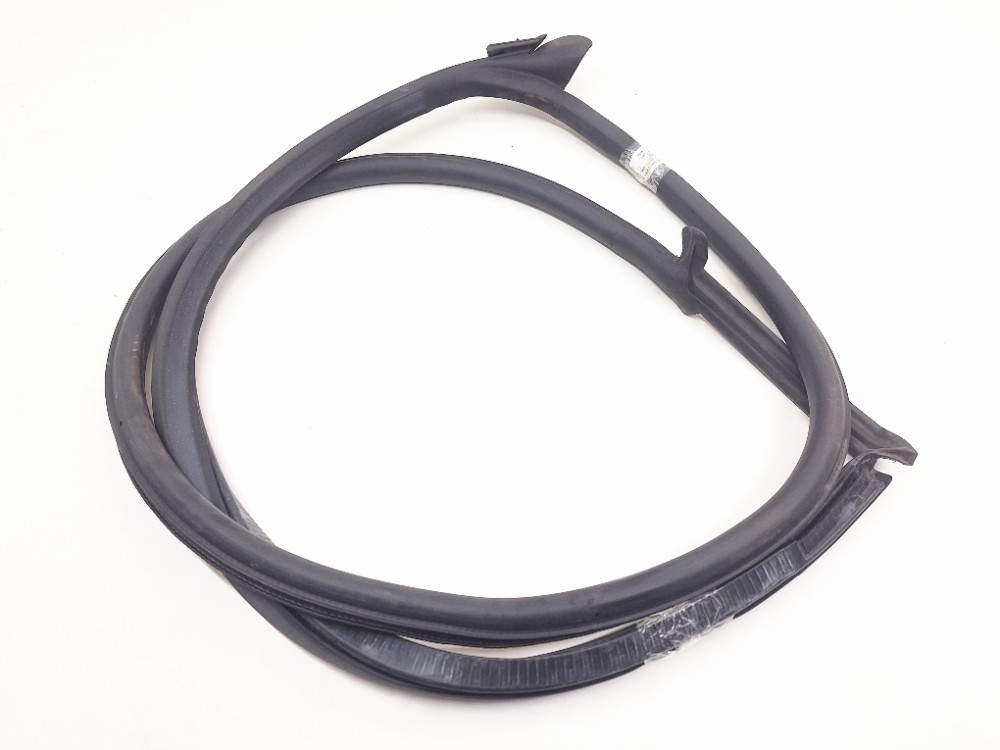 Borracha Porta Direita Áudi Ttrs 2.5t 2021 8s8831708