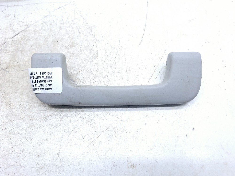 Alça Teto Pqp Traseiro Esquerda Audi A3 2.0 2010 2011  Branco