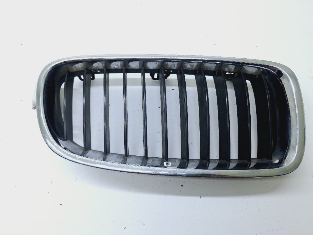 Grade Direita Bmw 320i 2.0 2015 51137255412