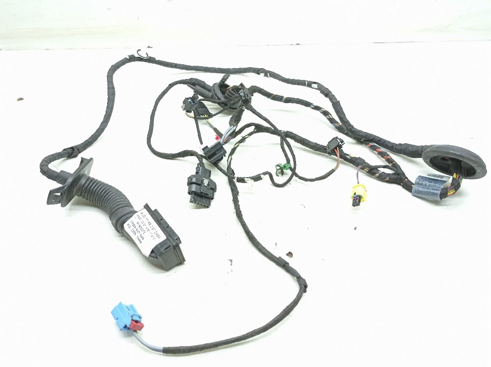 Chicote Porta Direita Audi Ttrs 2.5t 2021 8s0971030q