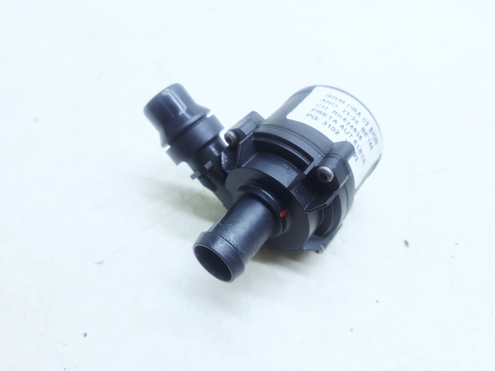 Bomba Água Auxiliar Gwm Ora 03 Skin 2024 8115100XNW01A