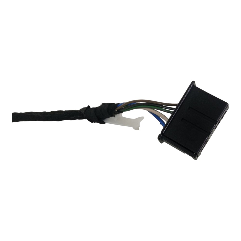 Chicote Porta Traseiro Esquerdo Volkswagen Polo Sense 2026 2
