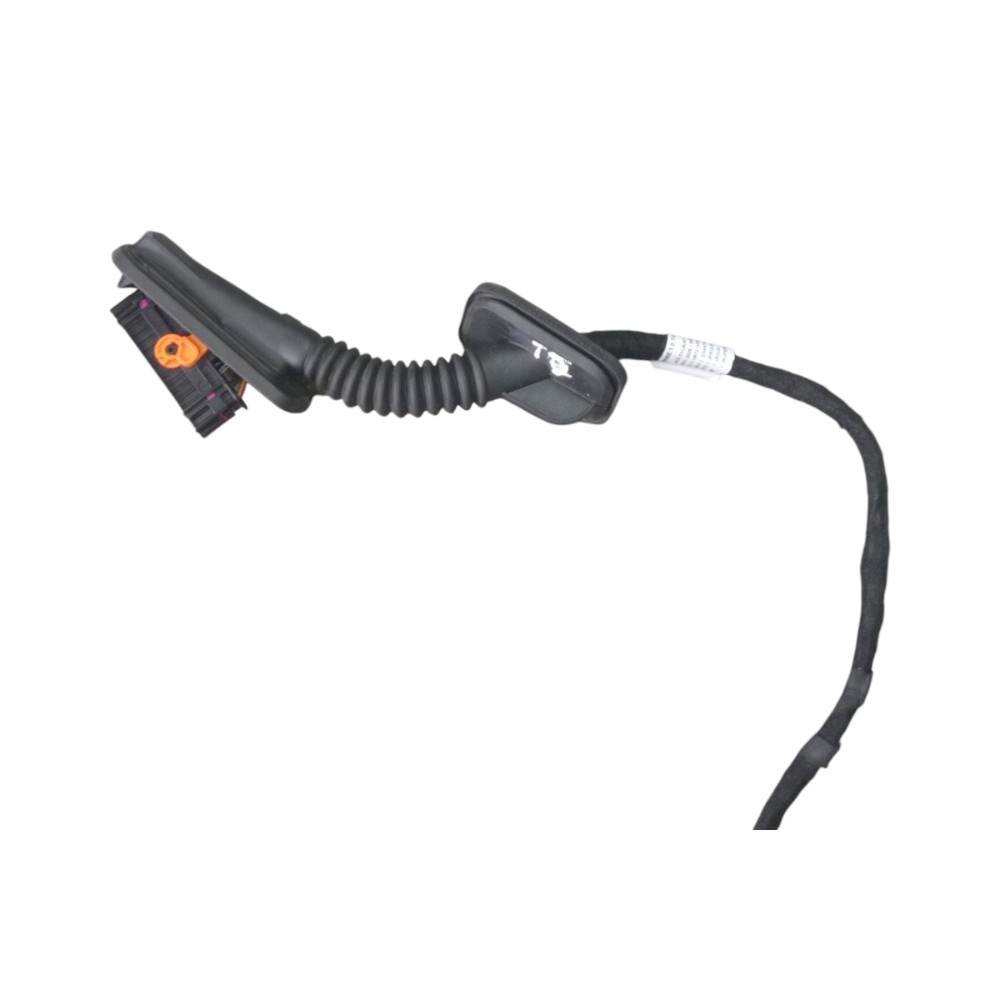 Chicote Porta Traseiro Direito Volkswagen Polo Sense 2026 3