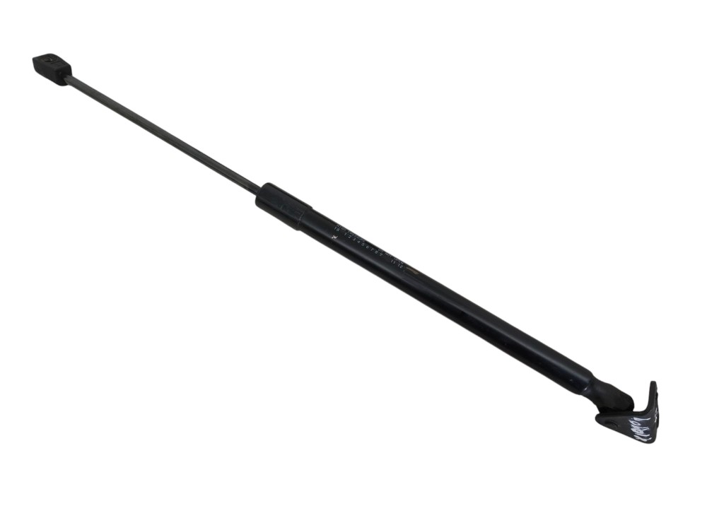 Amortecedor Tampa Traseira Chery Tiggo 7 2020 1