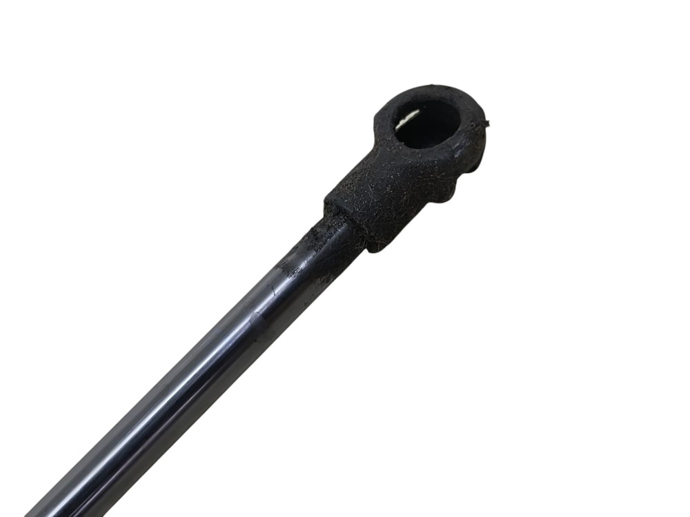 Amortecedor Tampa Traseira Bmw 116i N13 1.6 16v Gas 2014 3