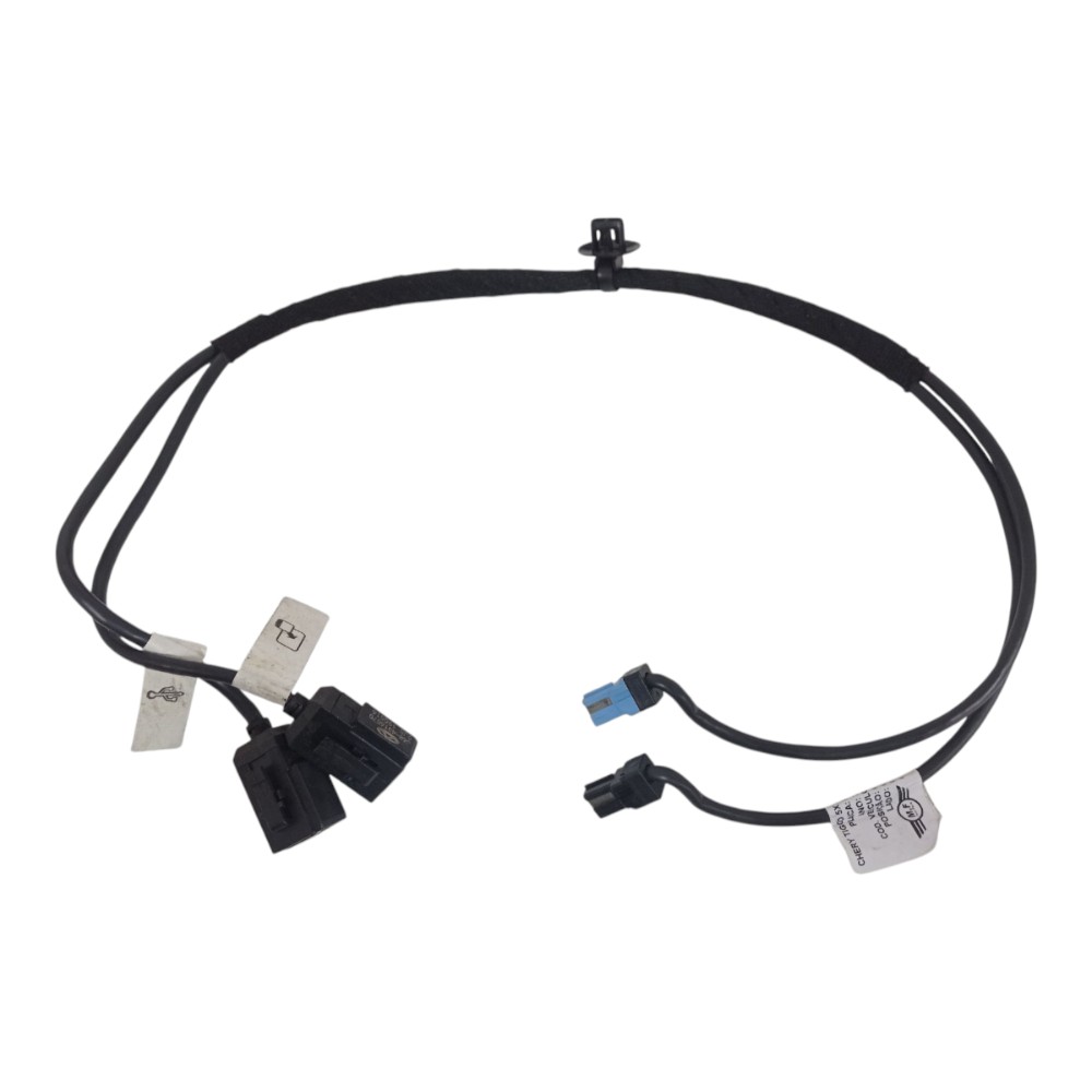 CHICOTE ENTRADA USB CHERY TIGGO 5X TXS 1.5 AUT 2020 1