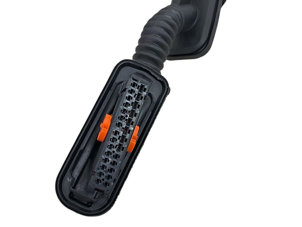 Chicote Porta Traseira Esquerda Volkswagen Polo 2020 4