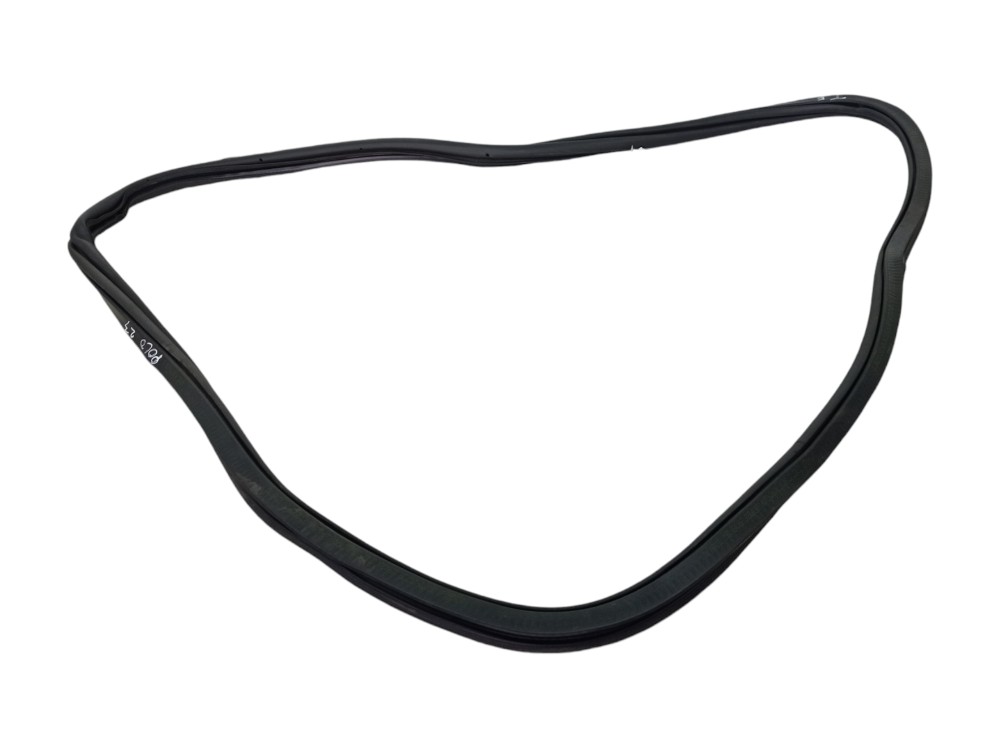 Borracha Vedaçao Porta Traseira Esq Volkswagen Polo 2023